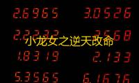 小龙女之逆天改命